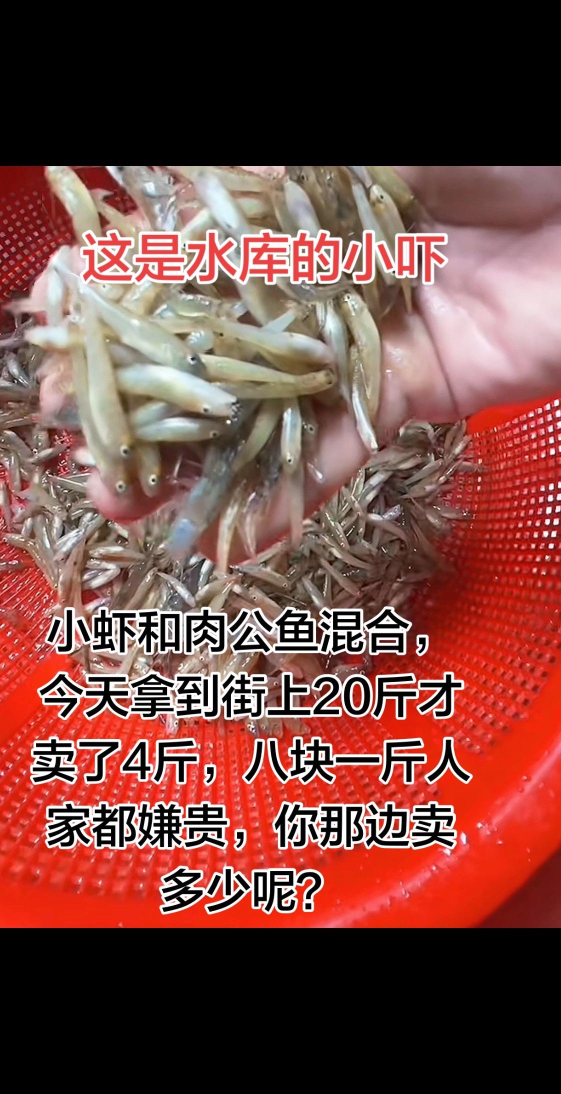 这是水库的小虾混合鱼，拿20斤拿到街上卖，才卖了四斤，本来卖15的都没有人问，有