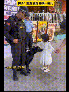 “彻底解释不清楚了”新疆街头执勤的警犬居然也会“撒娇挽留”，这一幕直接暖到我心巴