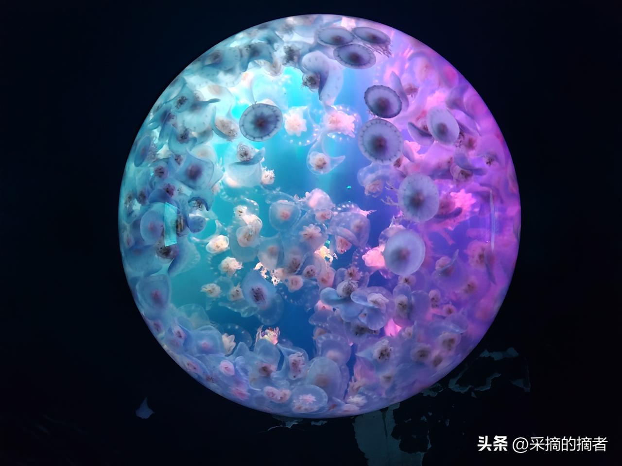 钱让我明白了：
真心不一定换真心，
但钱，真的能看清人心。
 
钱不是万能，
但