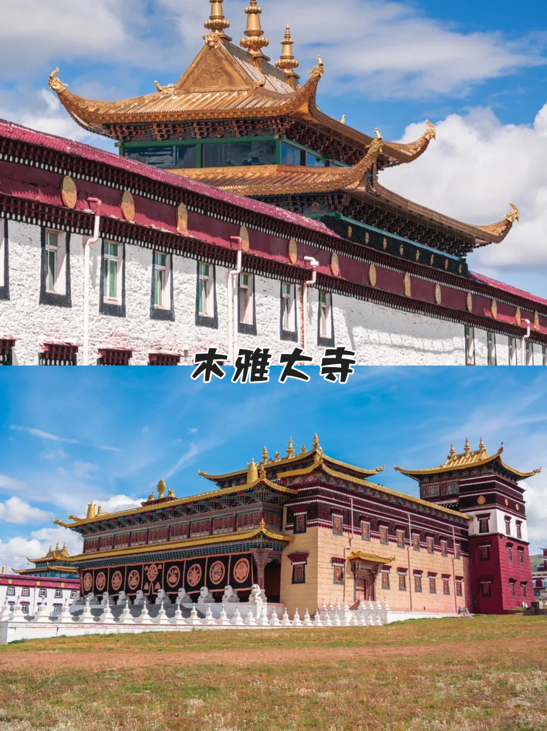 淡季去川西三天花多钱？最新攻略来啦！