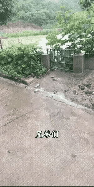 条友们，这鱼捡了犯法吗？