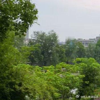 永远不要沉溺在安逸里得过且过，能给你遮风挡雨的，同样能让你不见天日。只有让自己更