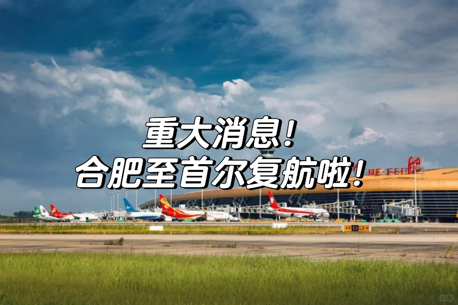 重大消息！合肥至首尔复航啦！👏