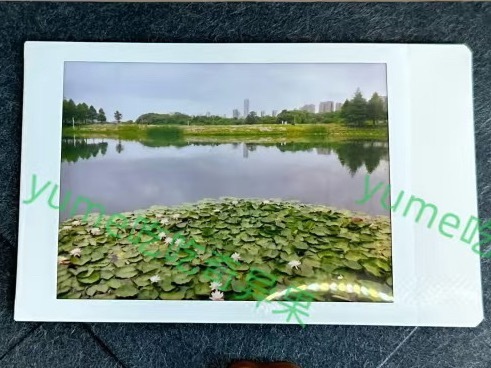 成毅眼中的风景📷 