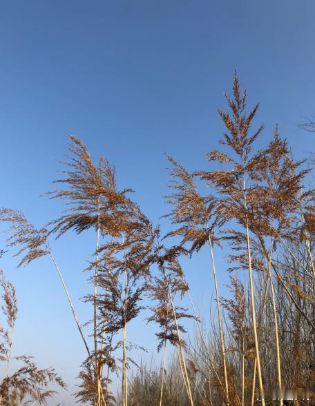 我是70后，老家在农村山里面，当时我心里就认准一个理儿：读书是唯一的出路。记得十