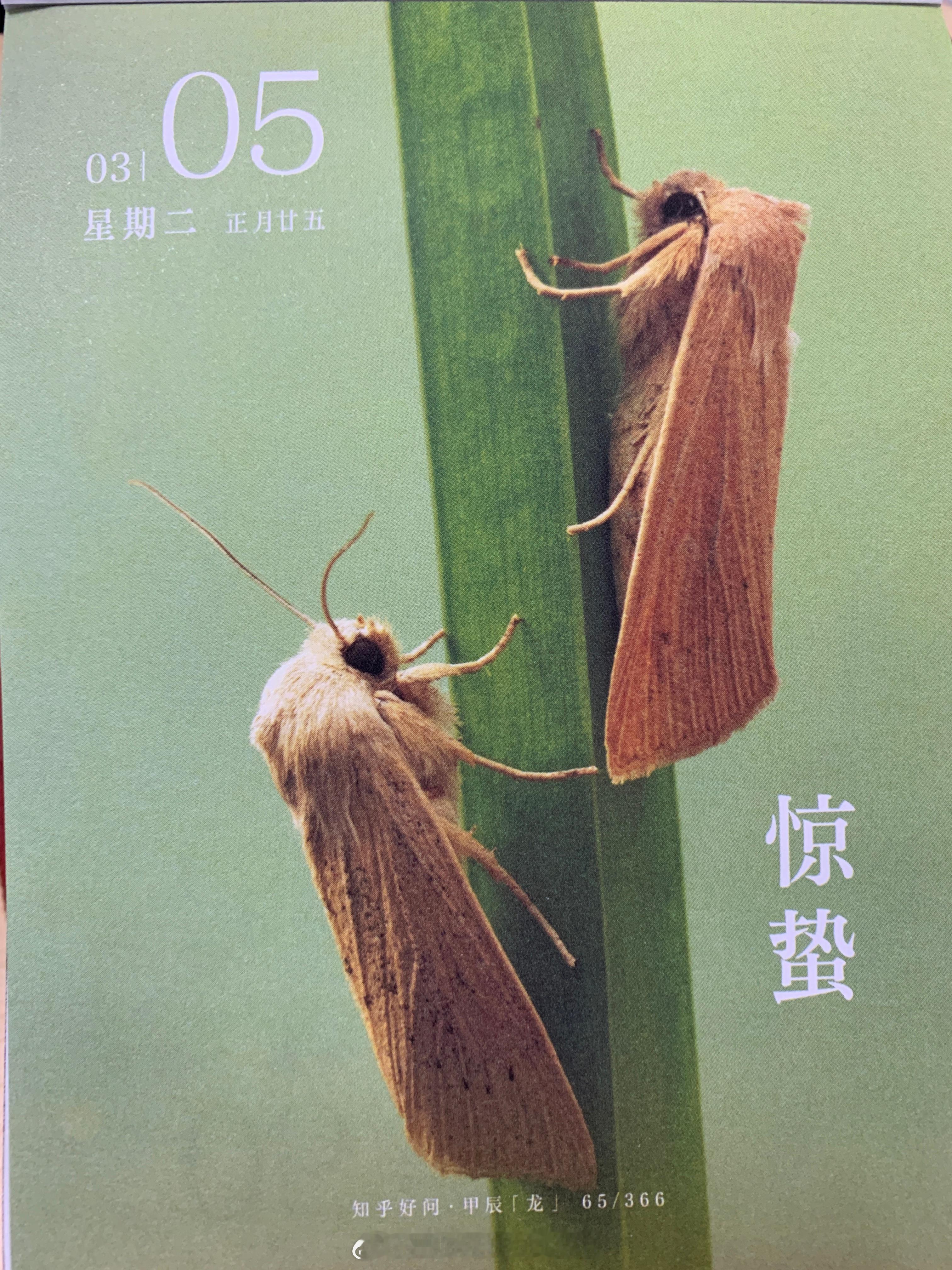 朋友们早，今天#惊蛰# 喔～ ​​​
