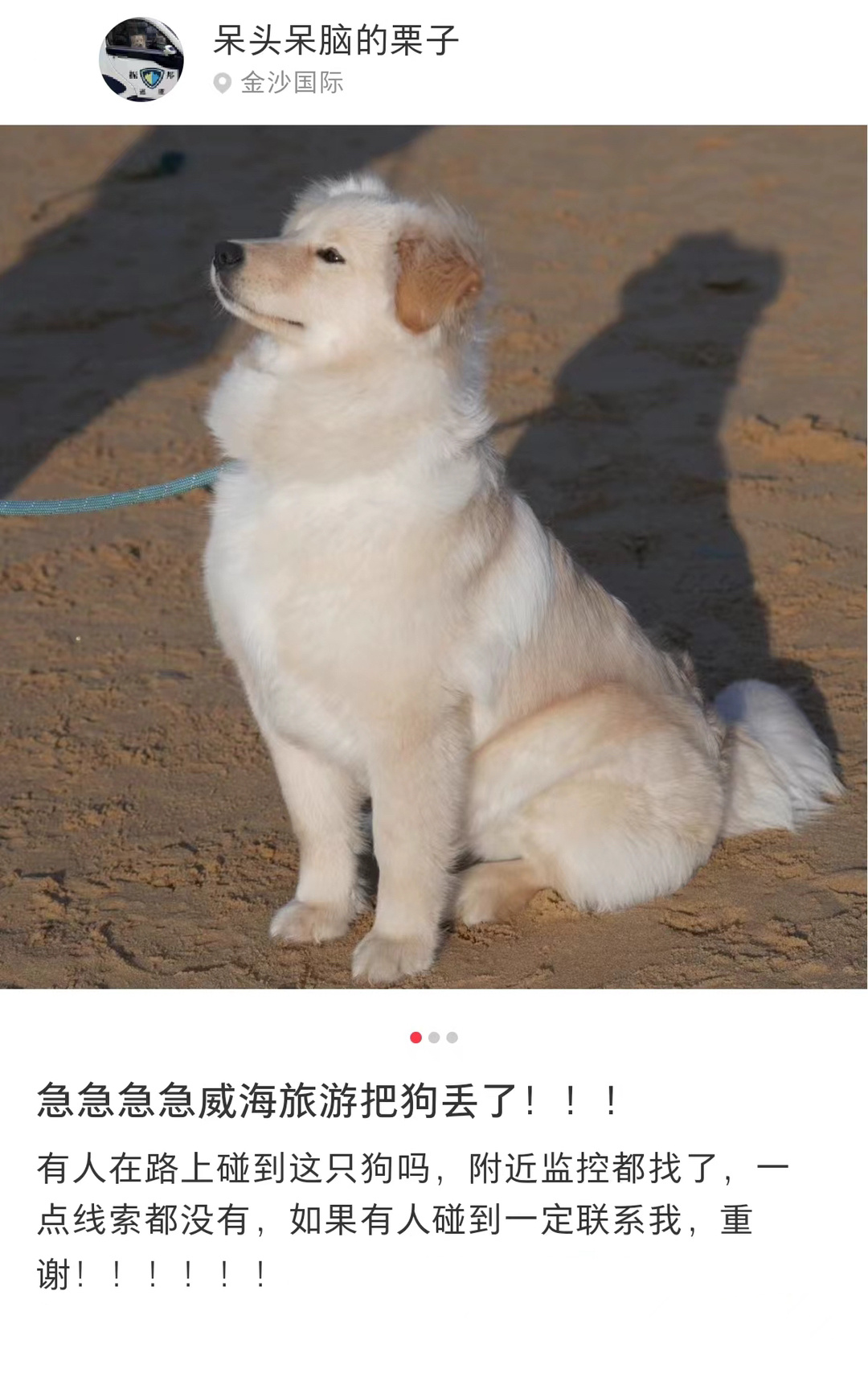 建议改名为小狗山东漂流记 ​​​
