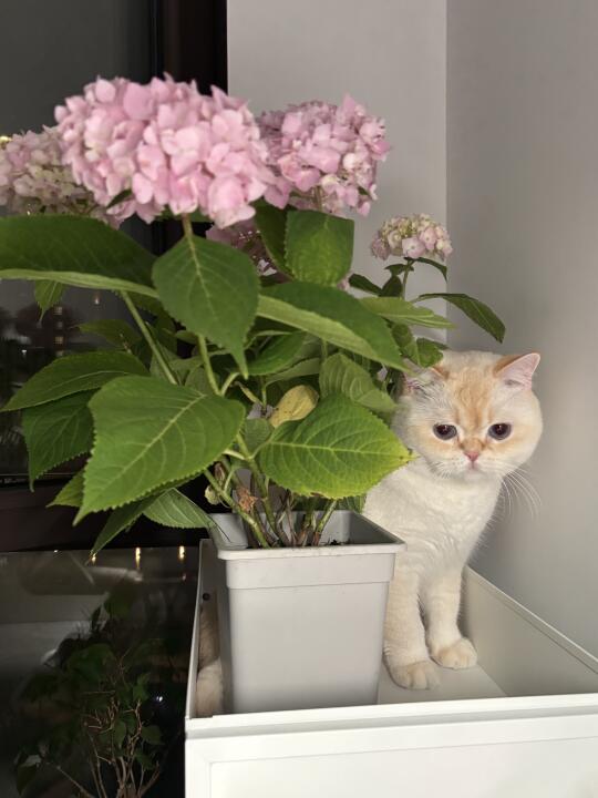 总是出现在最不该出现的地方