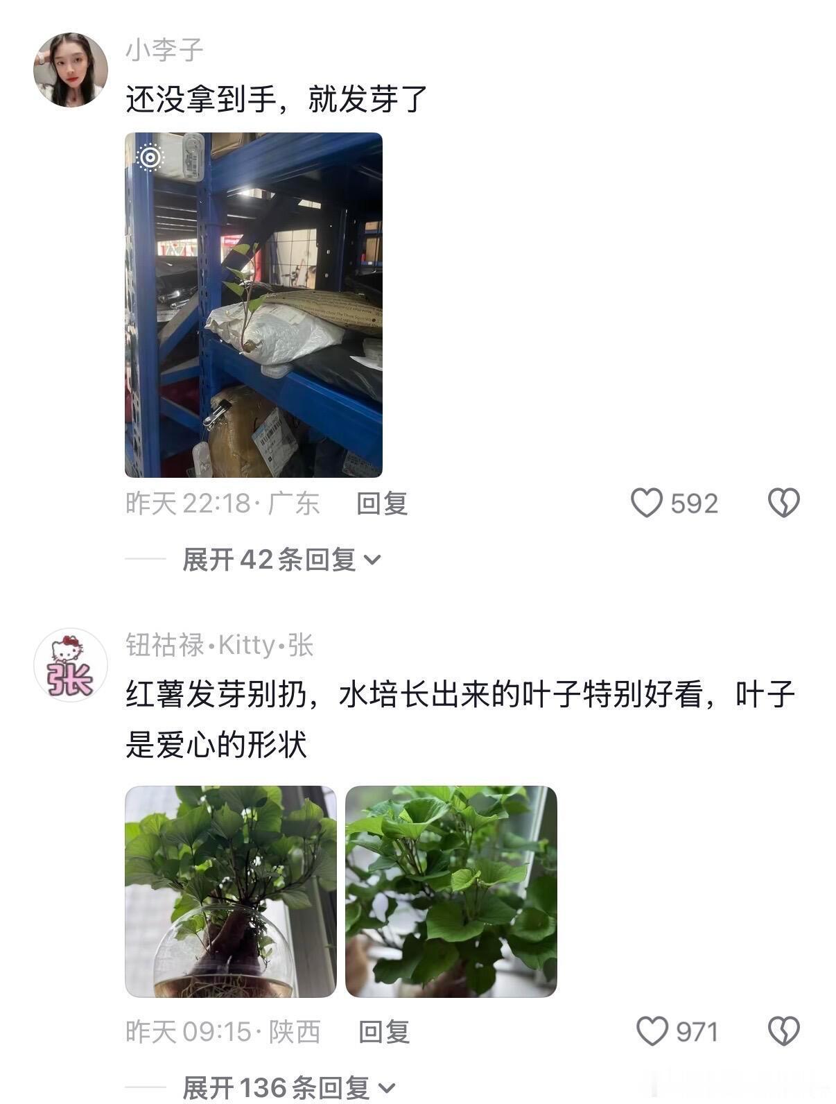 买的减脂餐都发芽了 人还没瘦 ​​​