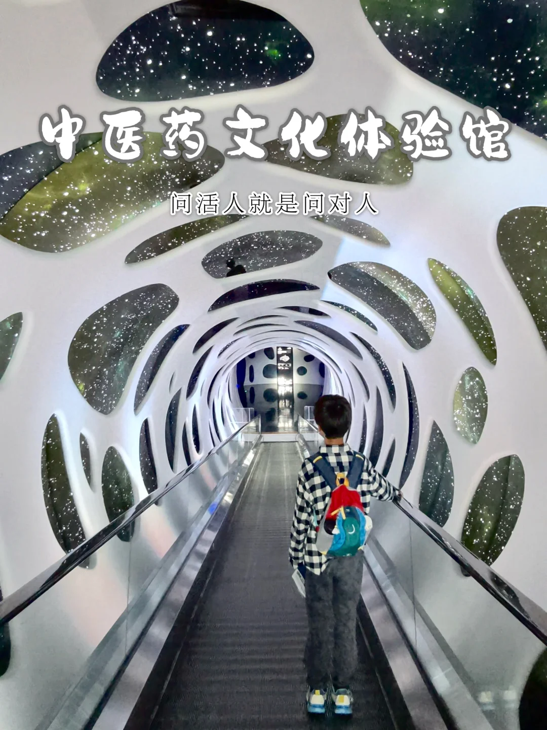 问活人就问对人了｜横琴中医药文化馆攻略