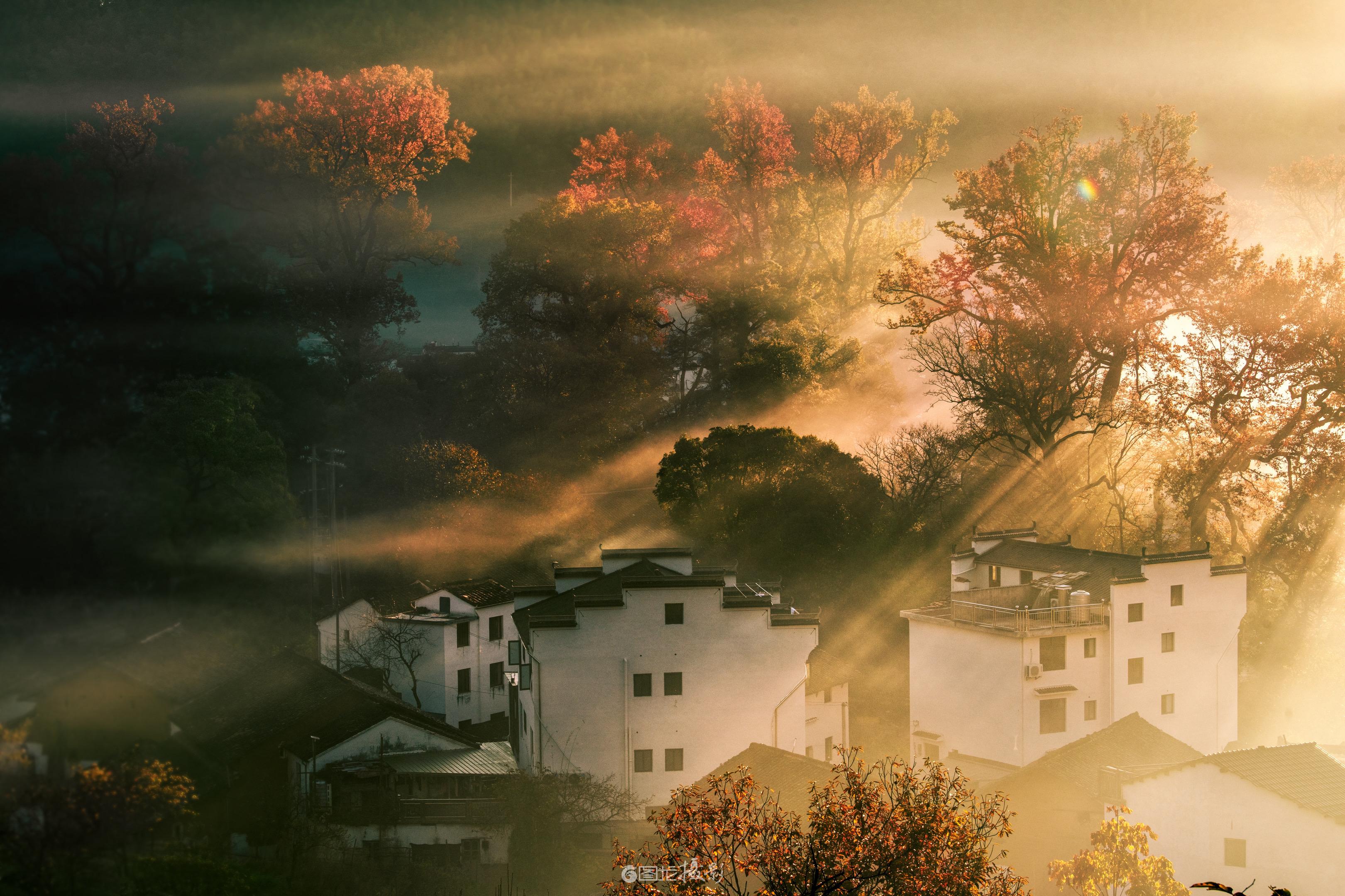 秋光里的徽州诗画。当晨雾还在徽州的山谷里缱绻，第一缕阳光已如金箔般撕开...