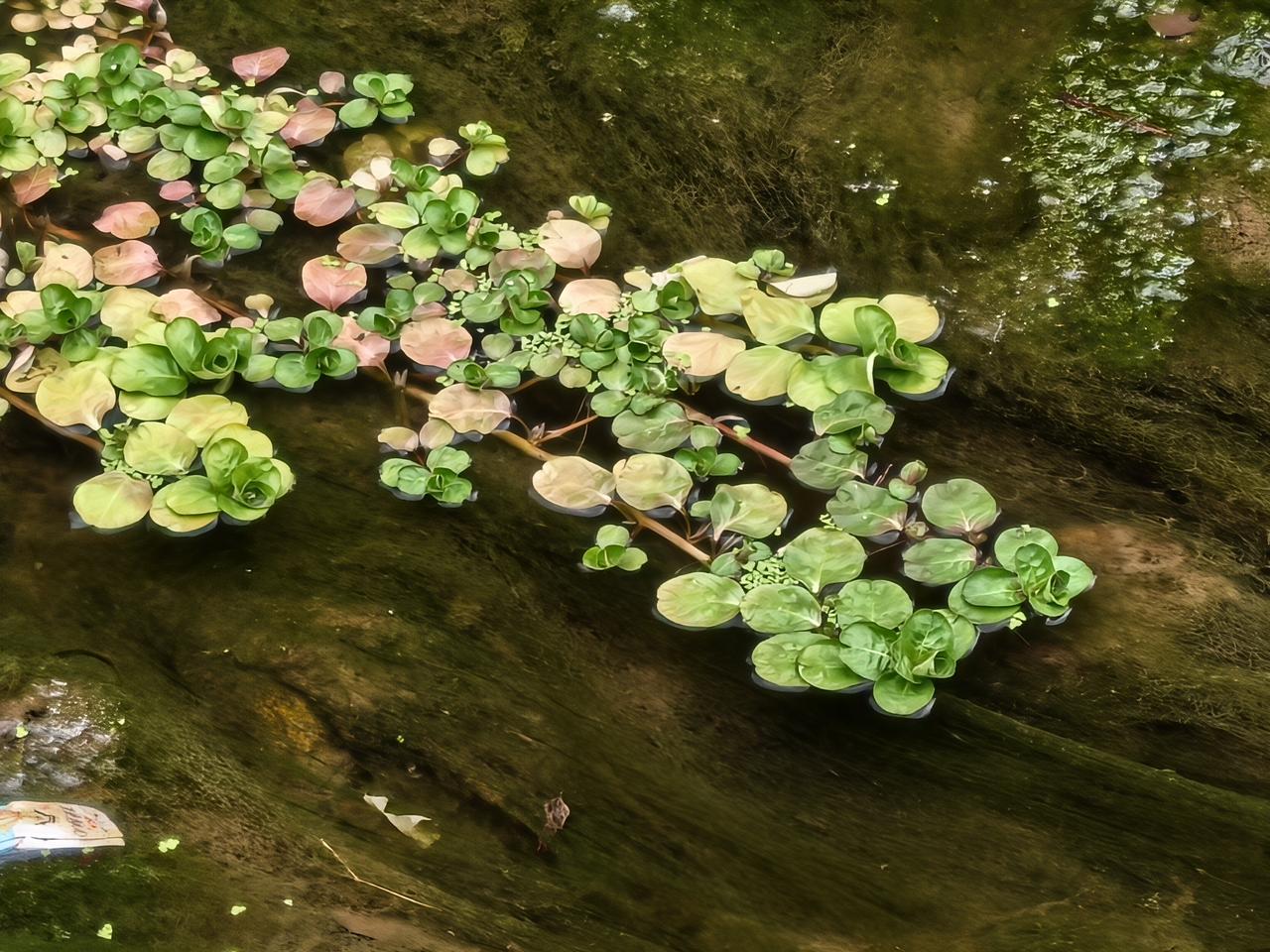 人啊，一样的生却有百样的死，今天早上听到了一个让人震惊的消息。

63岁的老张去