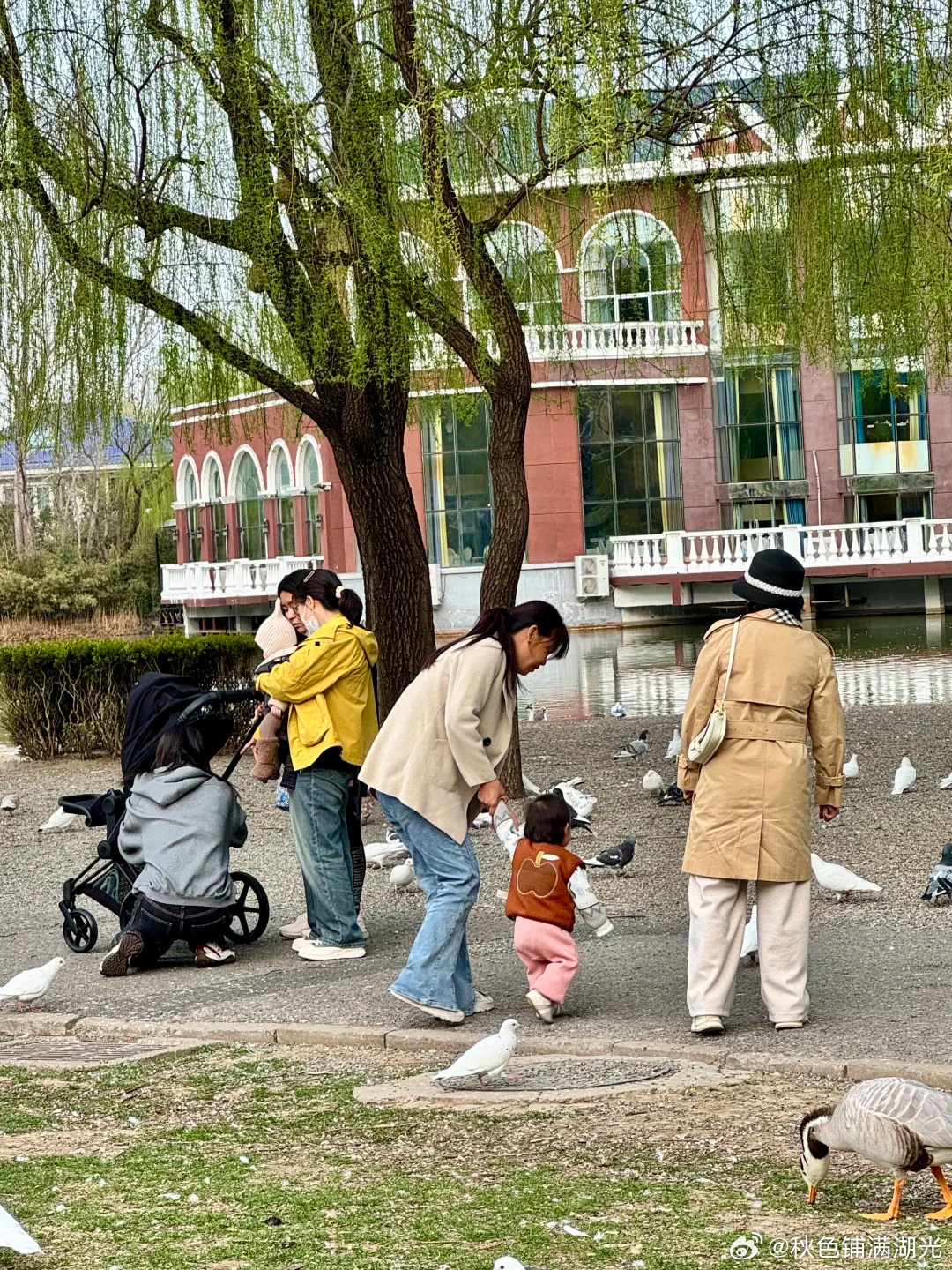 偶遇何穗公园遛娃 网友在某公园偶遇何穗遛娃，超模的身材在人群中果然很突出。 