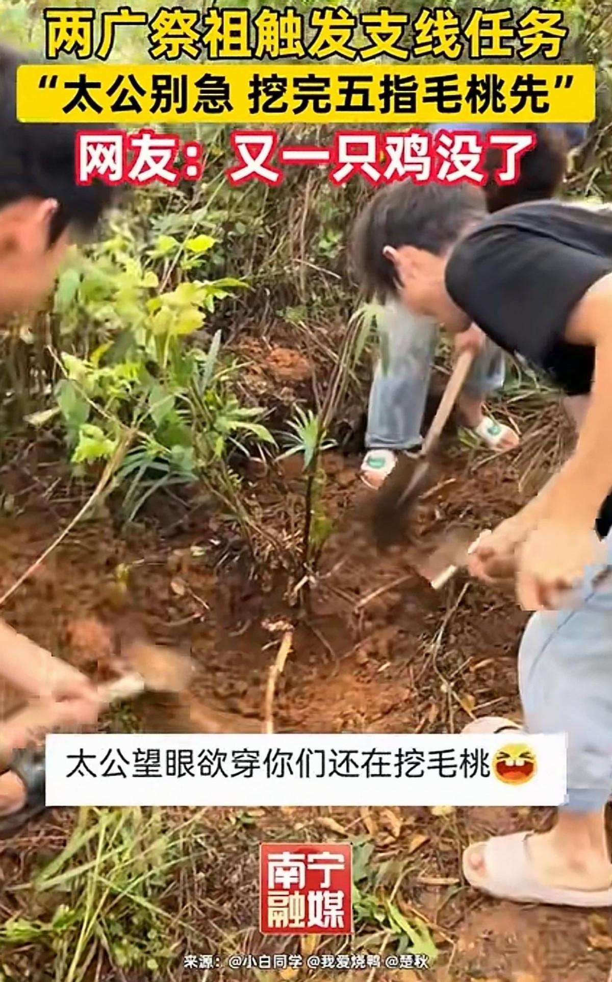 笑翻了！广西，男子一家人上山祭祖，可还没赶到地方，他们就纷纷走不动路了。

原来
