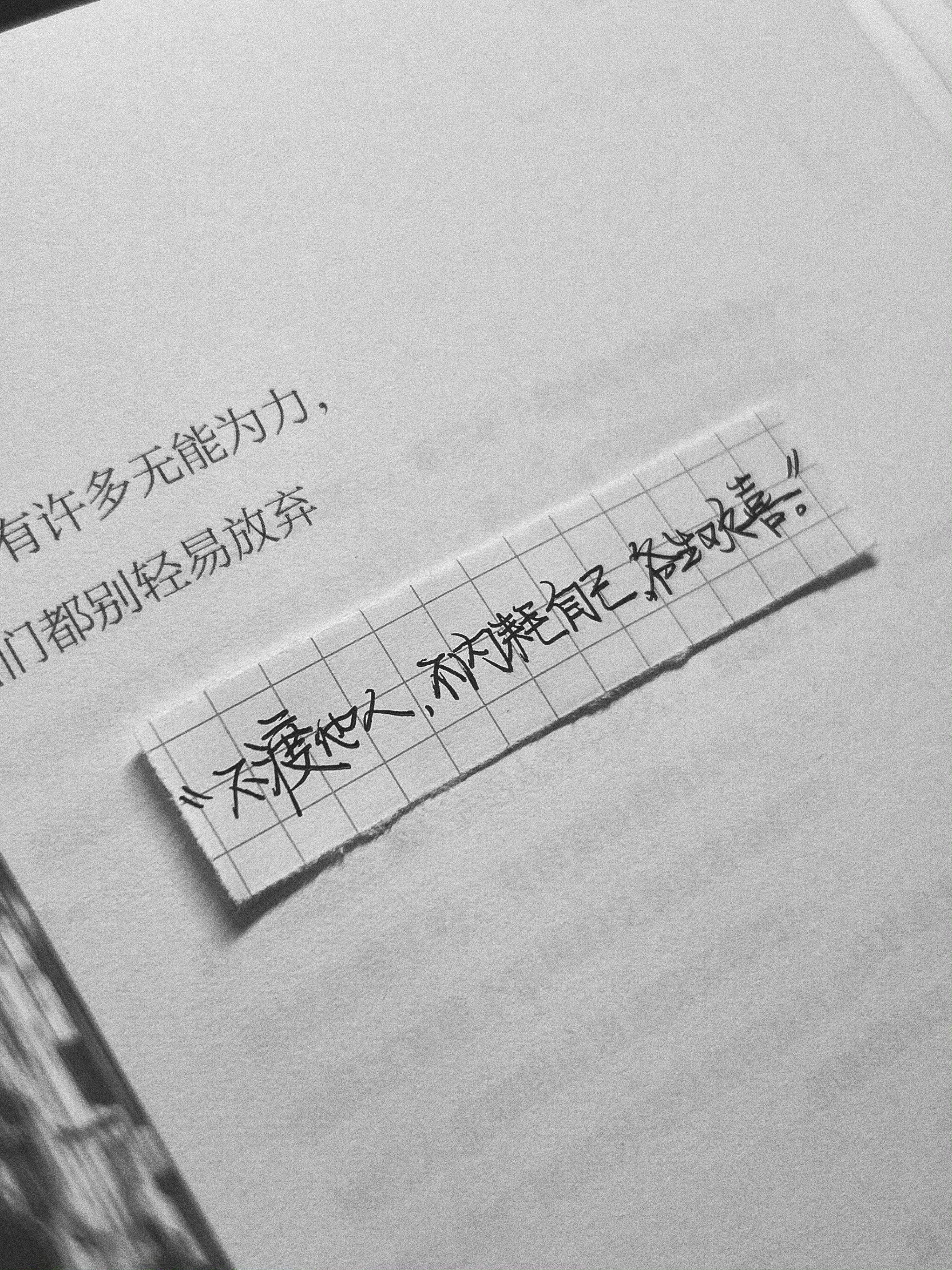 ​“不渡他人，不内耗自己，各生欢喜。”​​​​