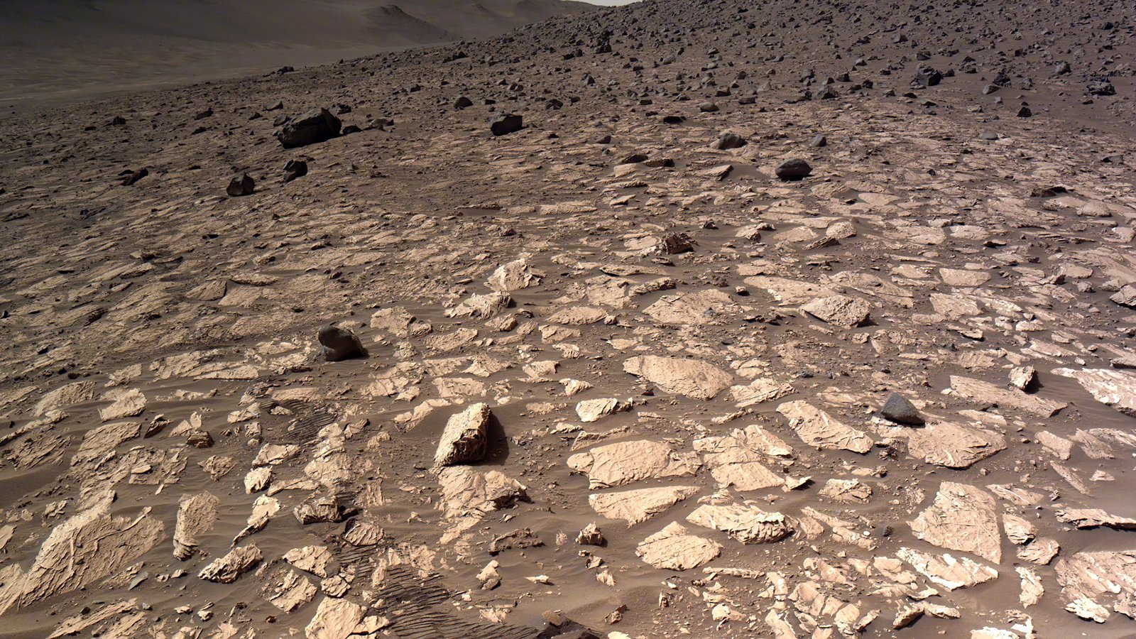 毅力号：“2024年6月17日的火星表面，当然位于杰泽罗陨石坑，这是由我的左导航
