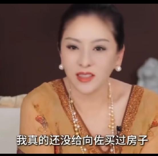高认知婆婆，向太作为过来人，她是站在儿媳和孙子的位置上考虑问题的。
向太认为孩子