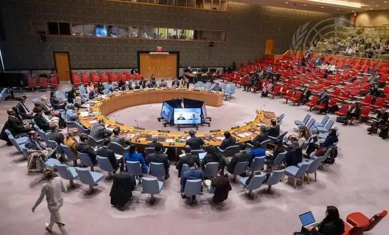 美国联合国安理会代表：俄罗斯在乌克兰问题上遭遇战略失败

近期联合国安理会围绕俄
