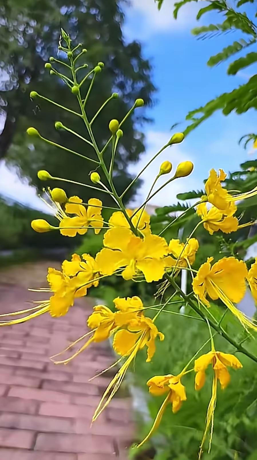 自己都舍不得用的东西，
就不要买来送人了，
爱人，要先爱己。
​除非你，
有求于