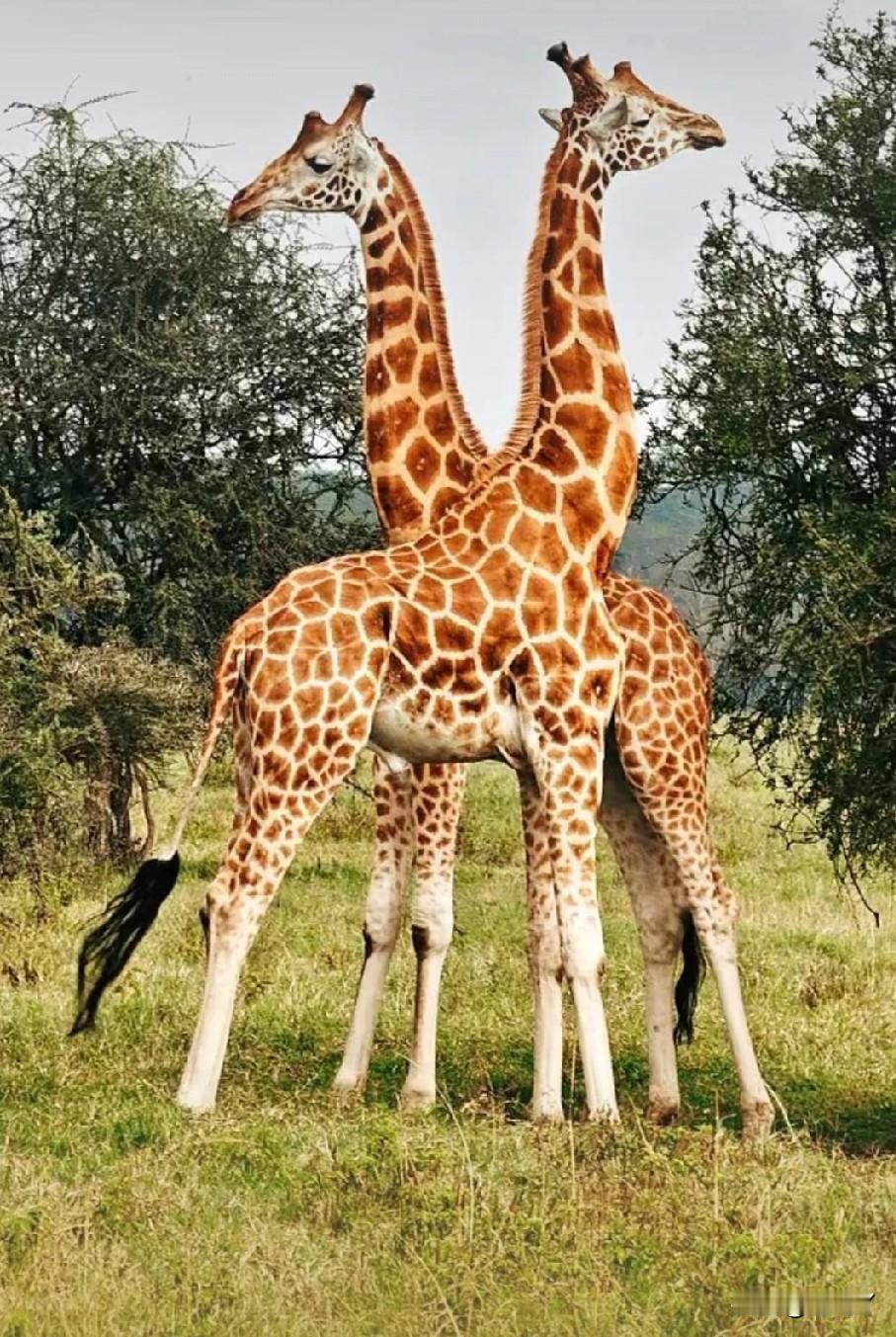 写了两年热点事件，收益一天不如一天。因为内容同质化太严重，一起事件八百人写不说，