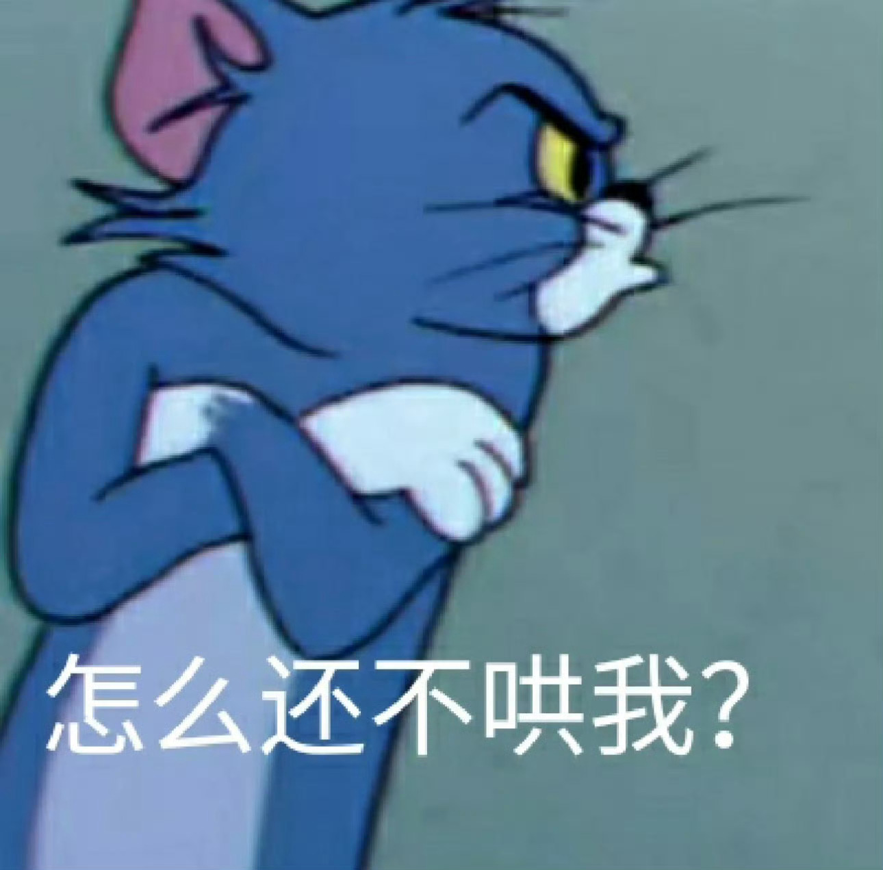 好无聊、在干嘛宝贝们？怎么没人理我🙃🙃🙃 