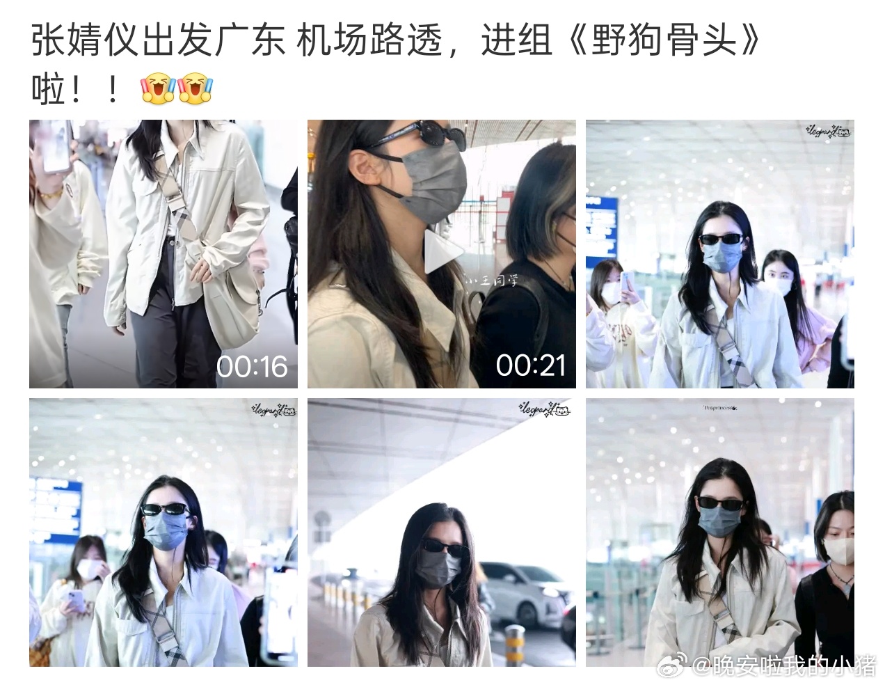 张婧仪三部现偶都在广州，广东到底有谁在啊