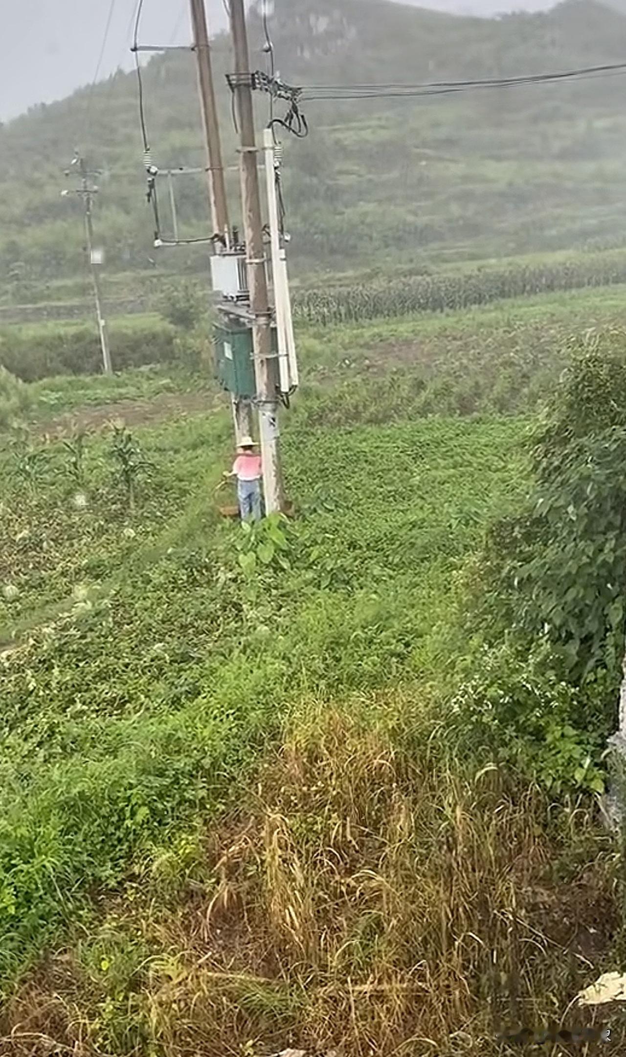 下雨了，你可真会找地方躲雨[恐惧]