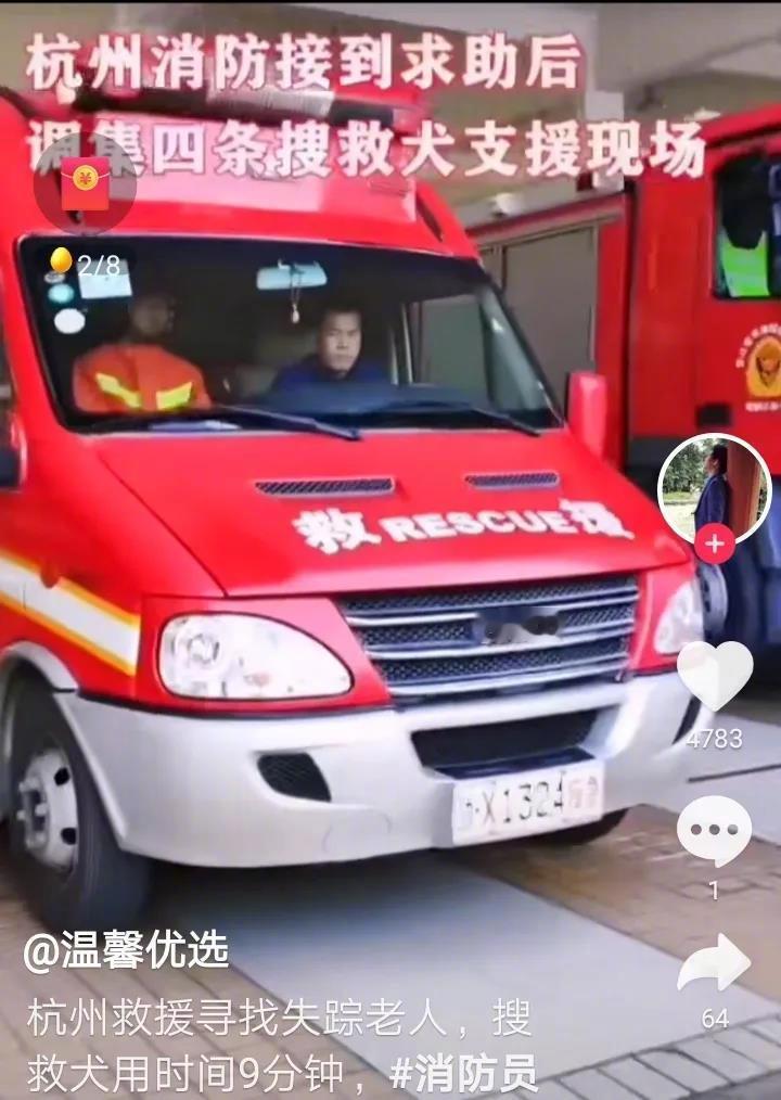 八十多岁老人走失山区，数十人搜寻无果，最后派出四条搜救犬，用时9分钟便将老人找到