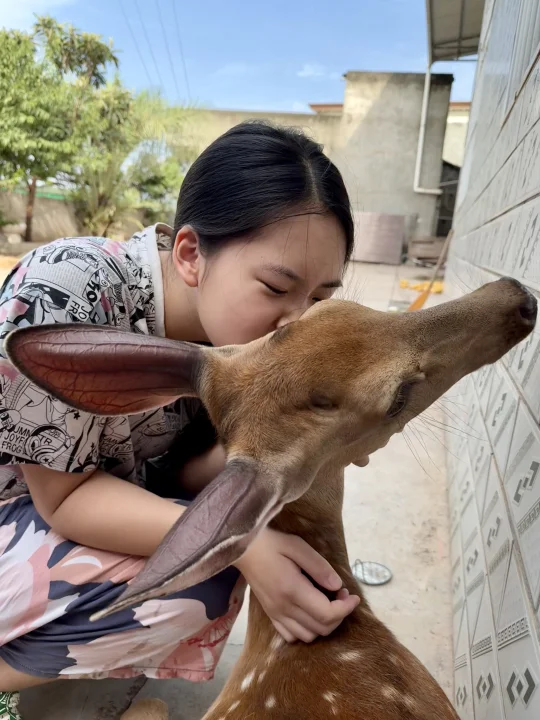 来吧 清晨最FRESH的口气