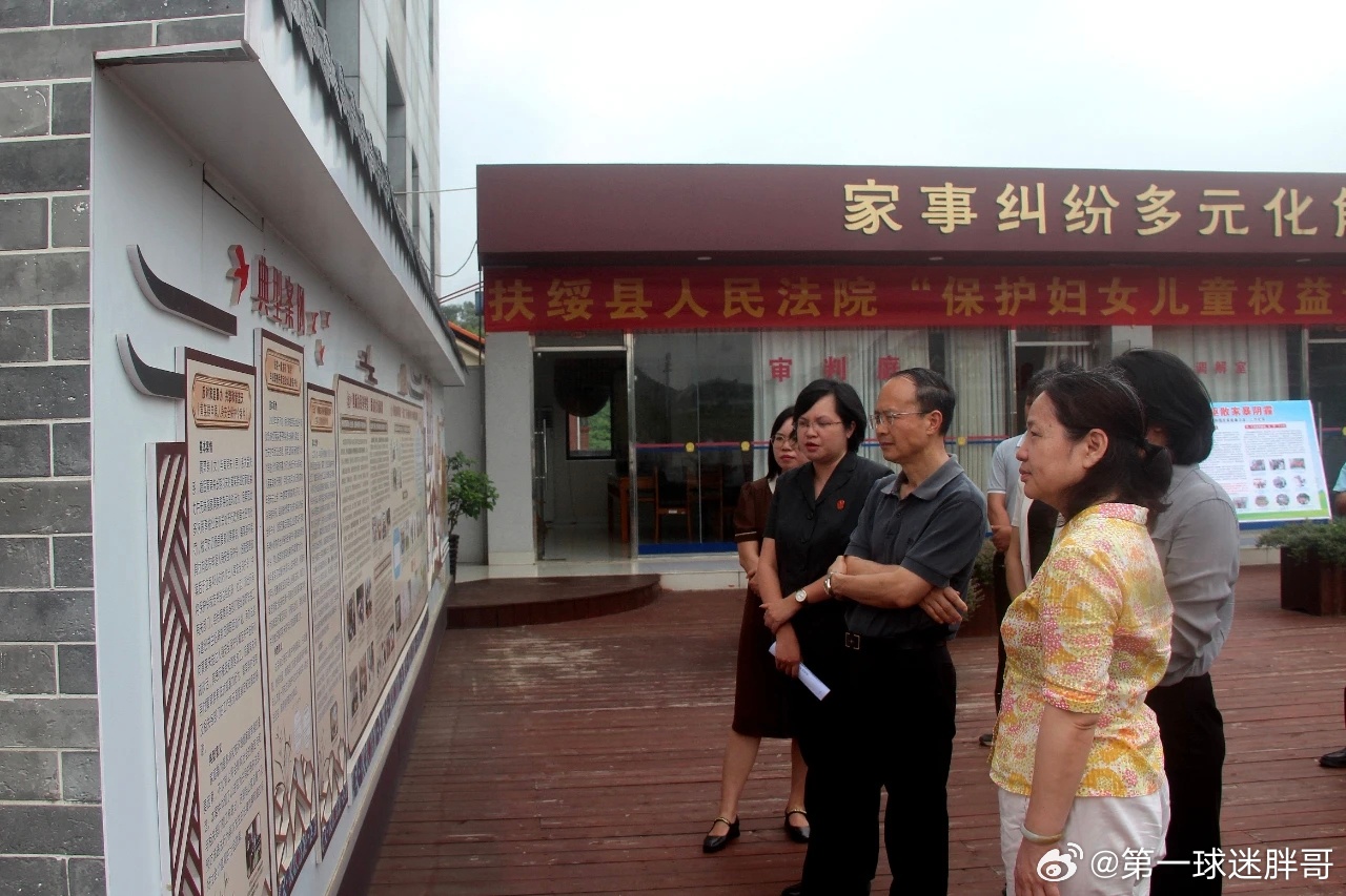 两会观察团建议开展反家暴法全国执法检查 家暴令人深恶痛绝！反家暴问题是一个顽固性