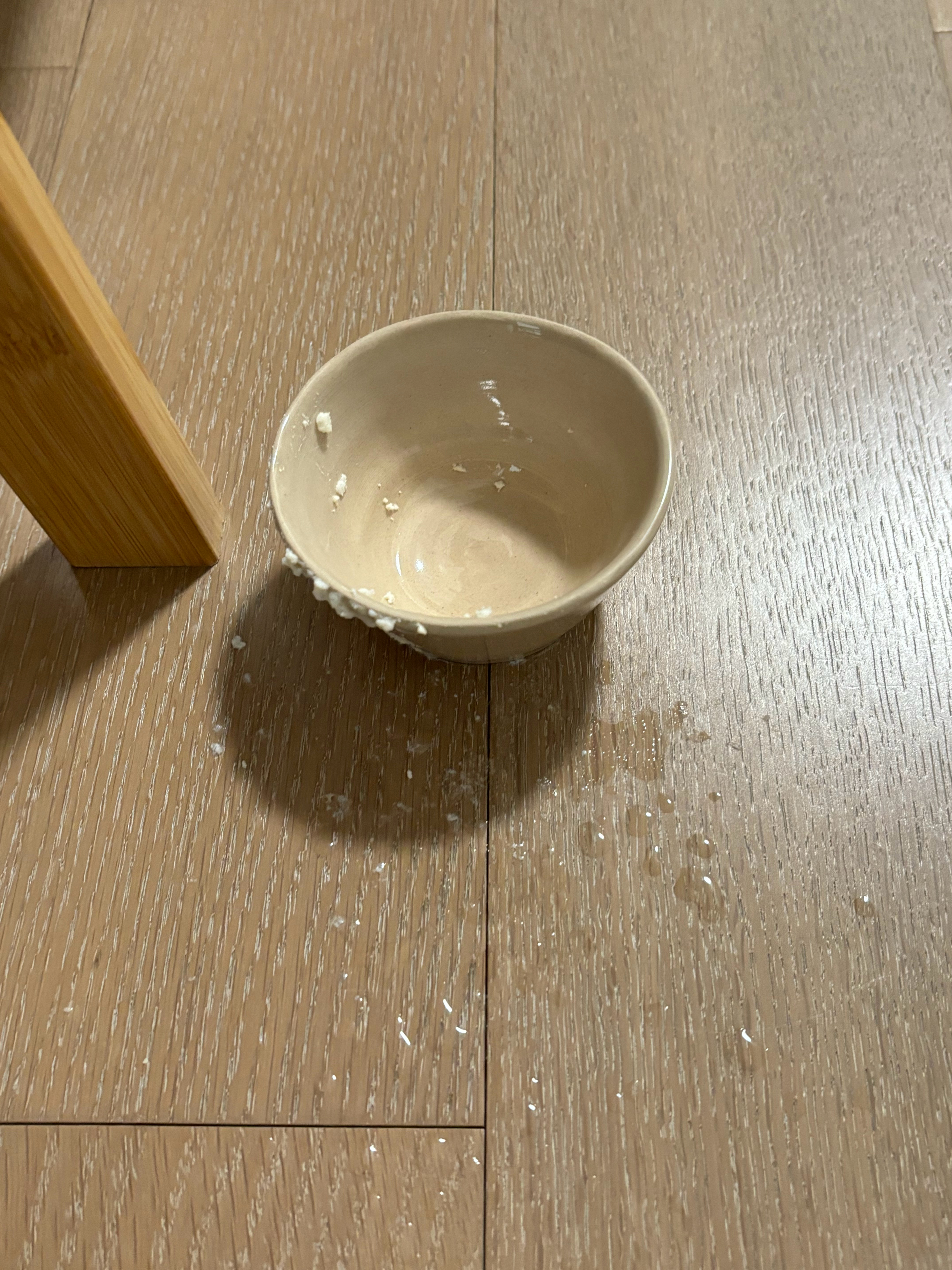 我每隔一周会给小猫喂一次鸡胸肉泥冬瓜汤🥣哟米贼爱鲜鸡胸做的，会自己喝光盆。砂糖