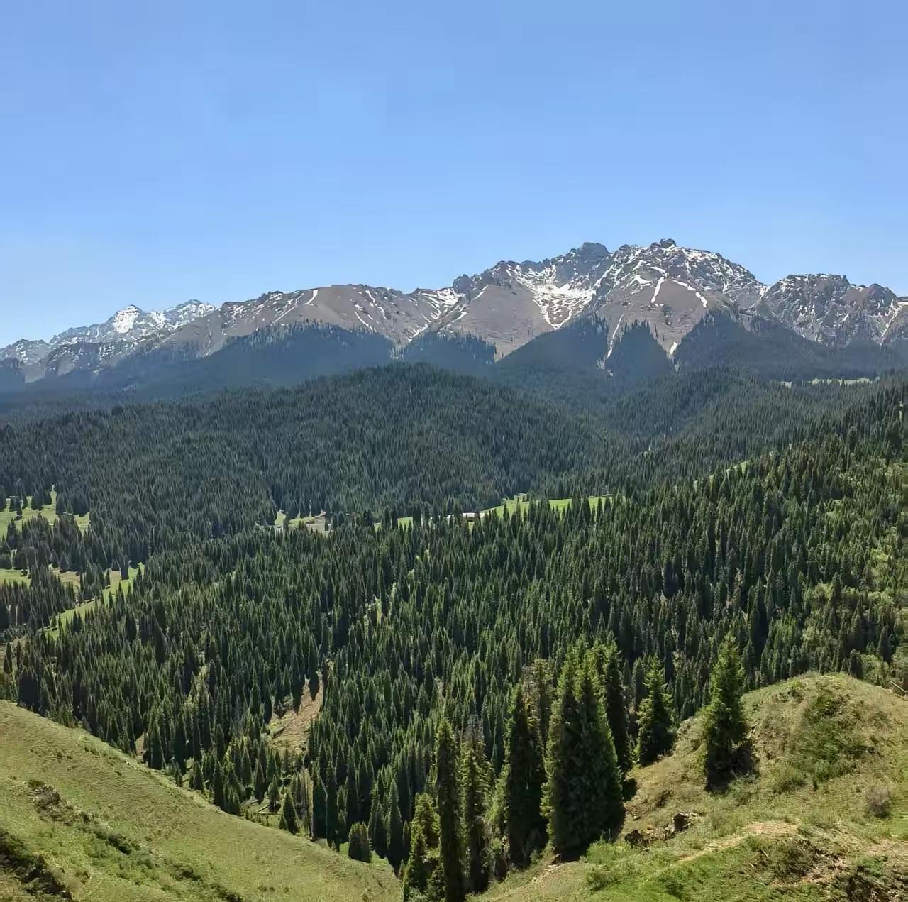 江布拉克奇遇

2019年的春天，单位组织团建活动。

从乌鲁木齐坐大巴出发，去