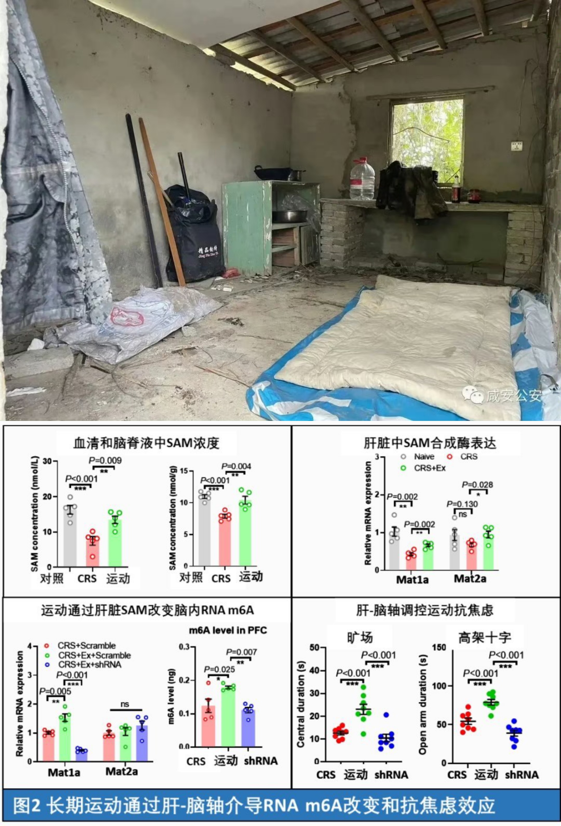 #为什么现在喜欢钓鱼的人变多了#因为客观存在“钓鱼高潮”。一个成年人为了一件事废