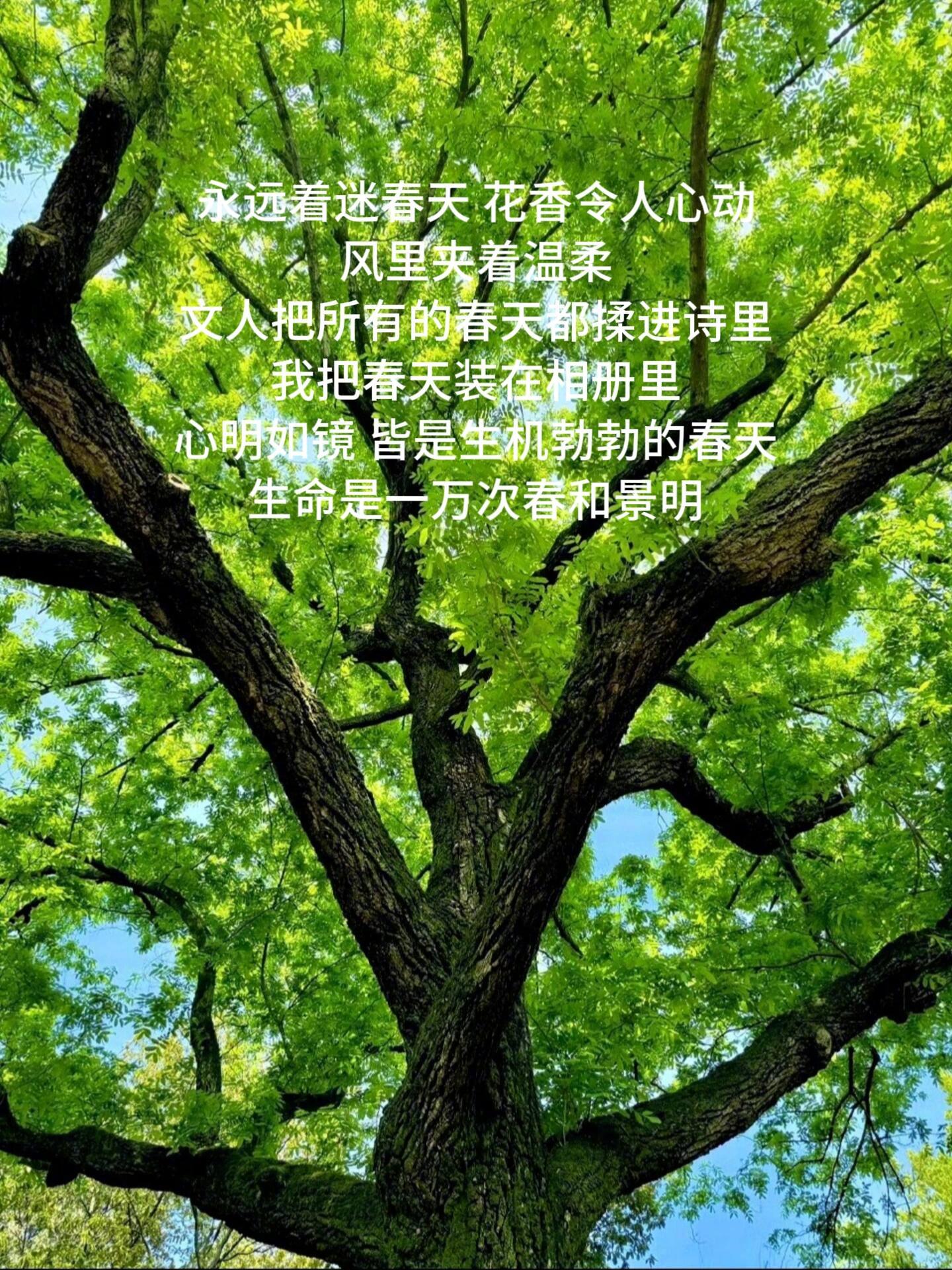 “人生犹如一场旅行” 