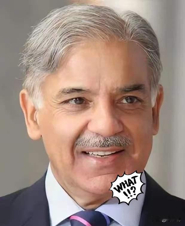 巴基斯坦传来消息，

4月21日，巴基斯坦副总理兼外长达尔紧急会见美国驻巴临时代