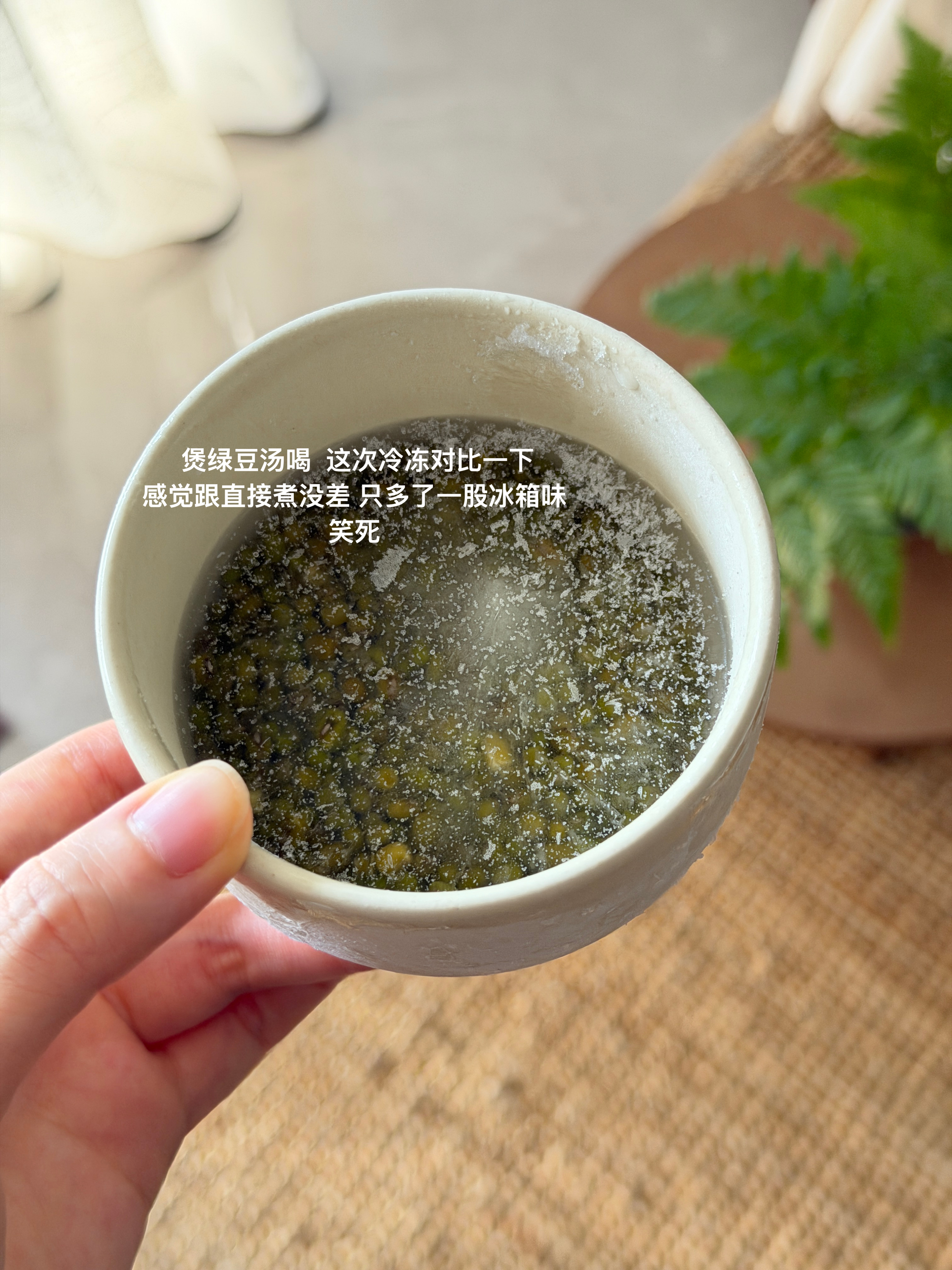 周五快乐呀！姨日plog日常碎片plog