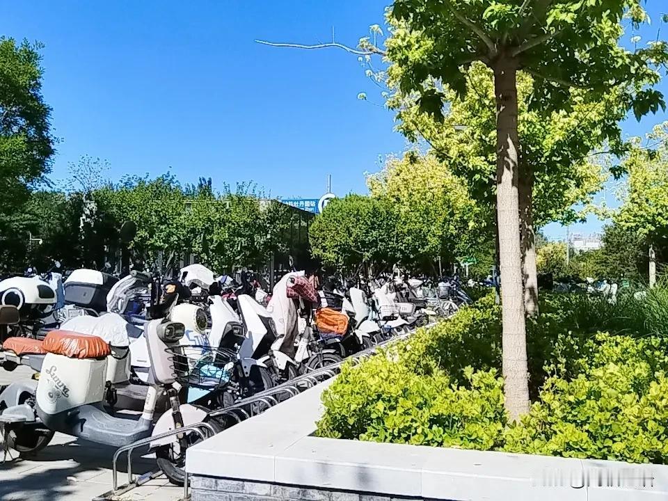 我的退休生活算不算享受独处？
每天早晨，六点半起床，洗漱、吃饭等。
七点半，送外