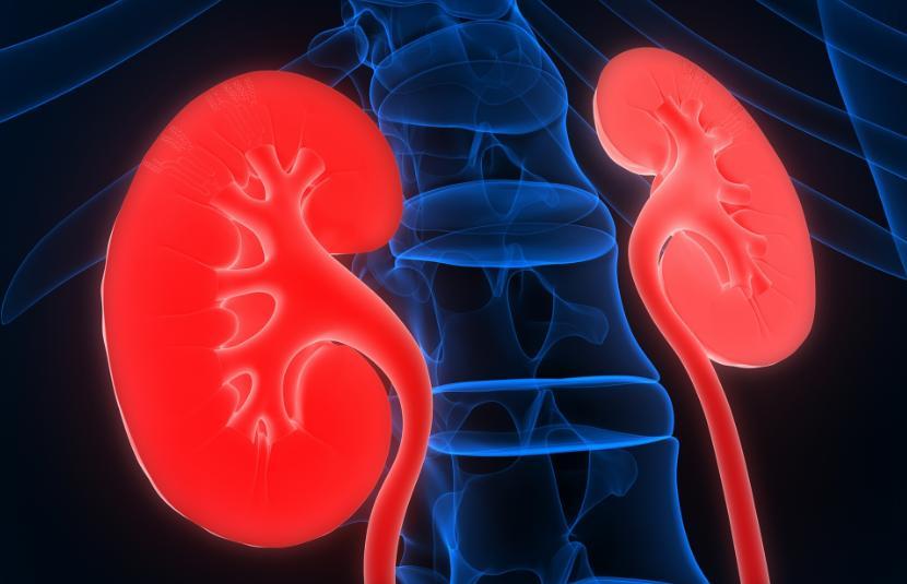 肾病恶化前不是水肿！医生：如频繁出现3个不适，是肾脏在求救！

肾脏出问题，绝大