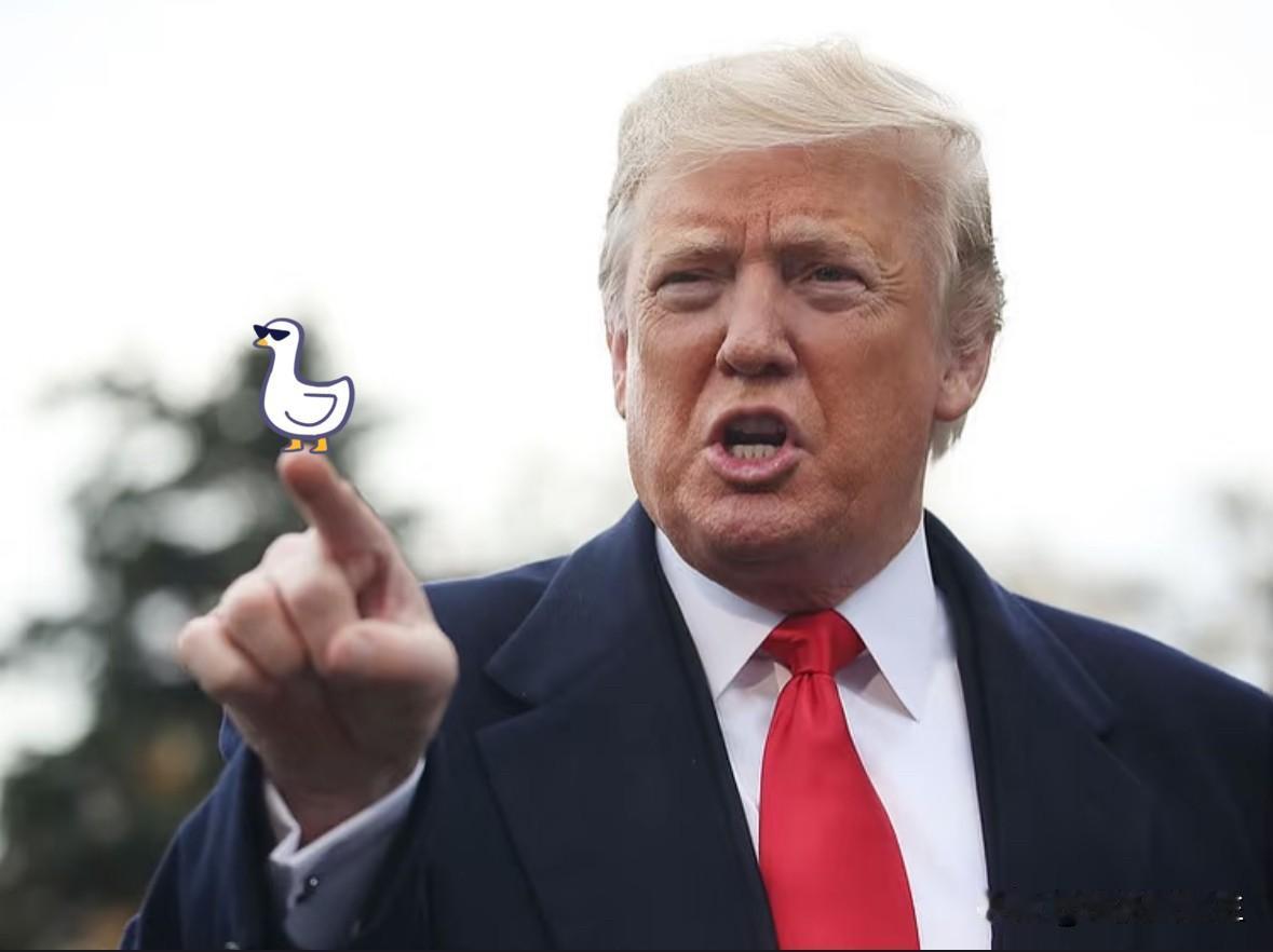 果然被我猜中了
12月22日，美国FCC再挥“管制大棒”，以“不可接受的国家安全