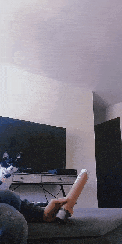 猫猫：吓我一跳 ​​​
