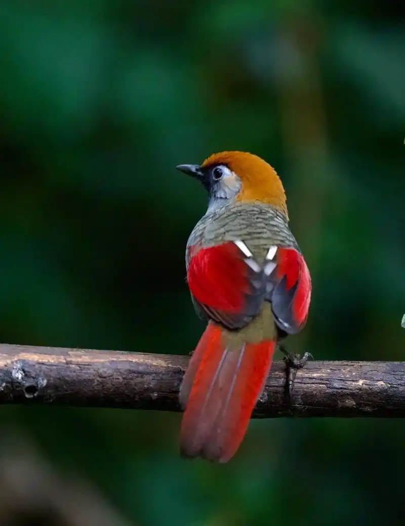 今天就这样吧，尾盘不出，爱咋滴咋滴……别想要我手里的筹码！ 