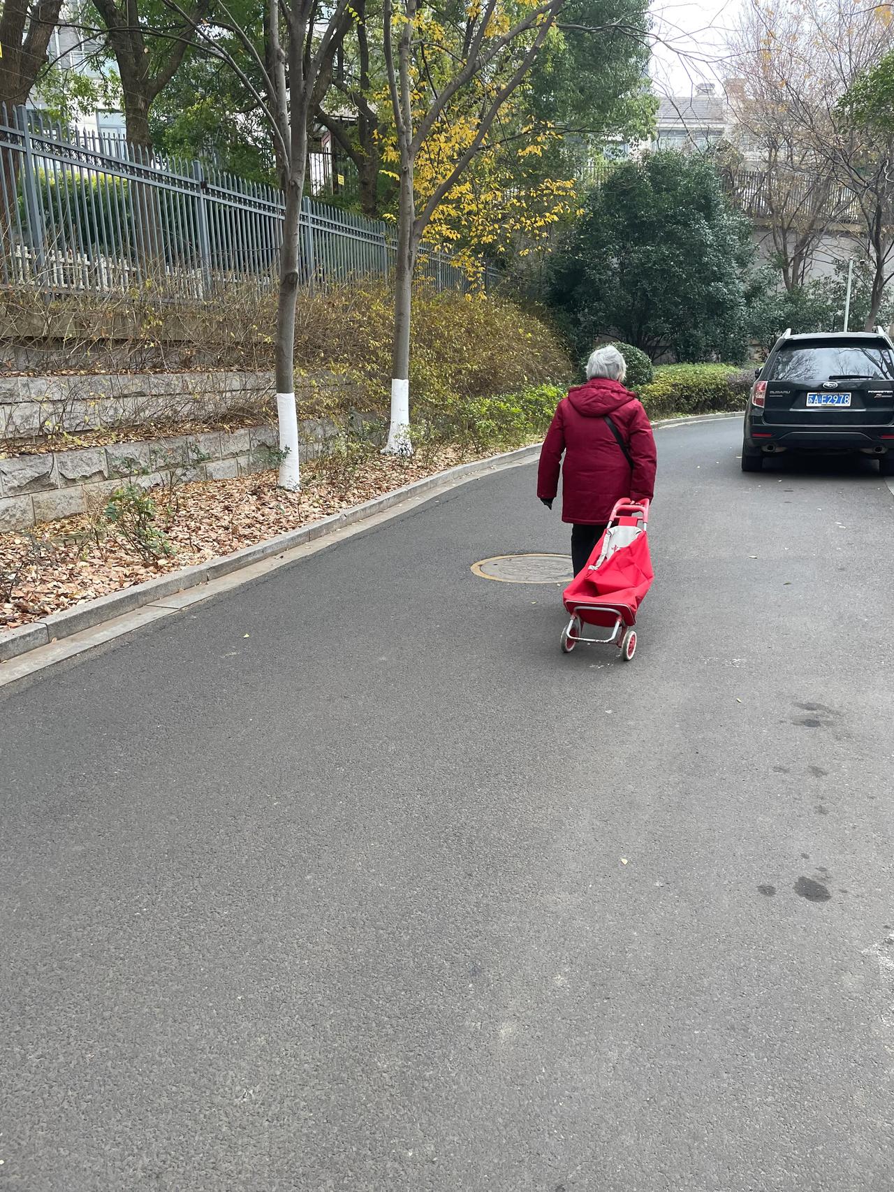 80来岁的一位奶奶，拉着个小菜车，跟在我身后一直唱歌，，“马儿啊，你慢些走，”刚
