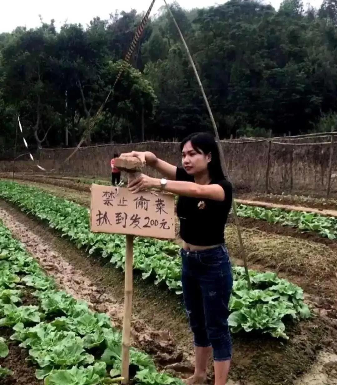 但为什么放瓶可乐？