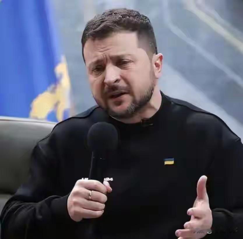 泽连斯基究竟有没有“跪下了？

您提到的“泽连斯基妥协”和“11国联合声明”确有