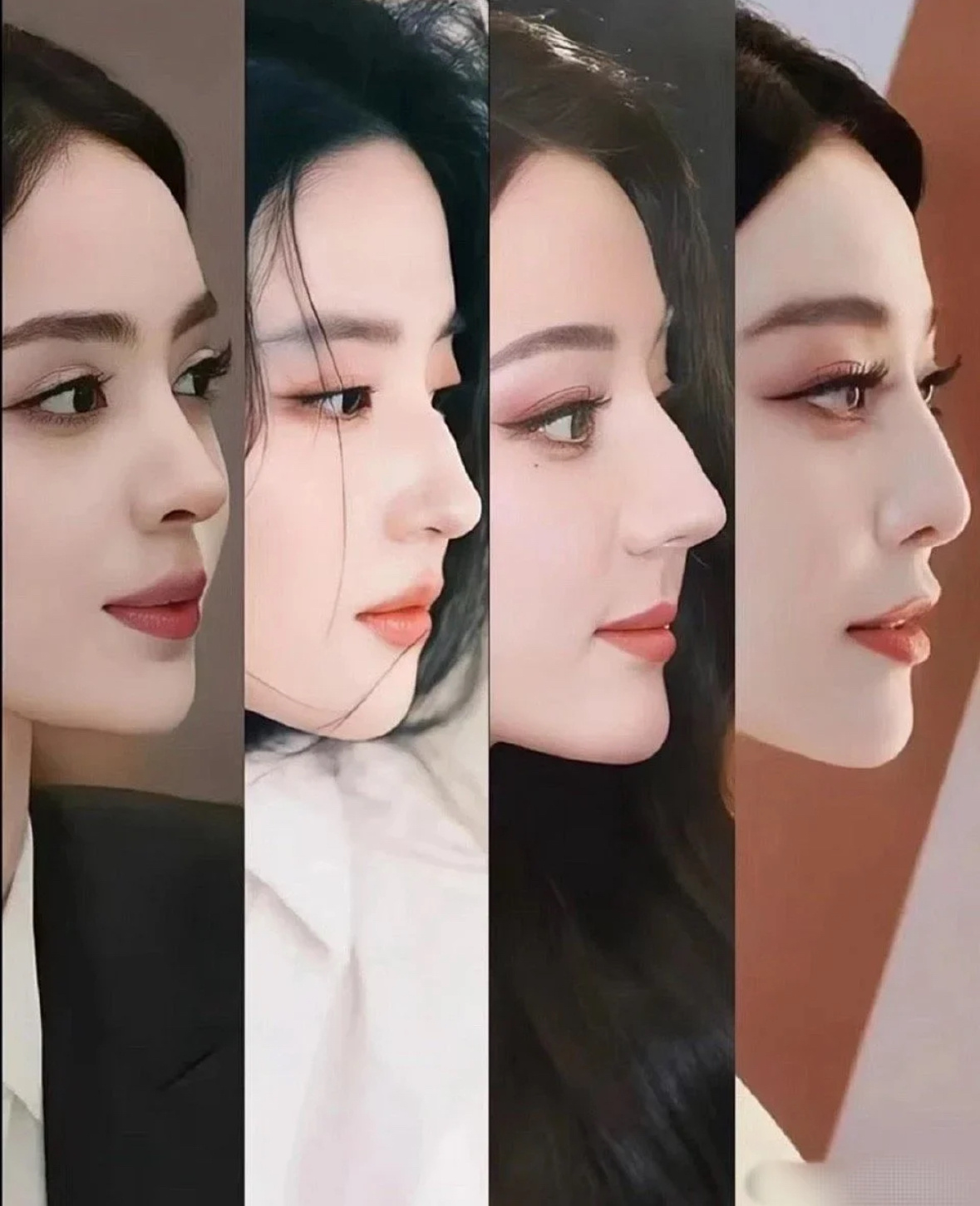 内娱女明星的鼻子都好美，刘亦菲这驼峰鼻太有特点了 ​​​