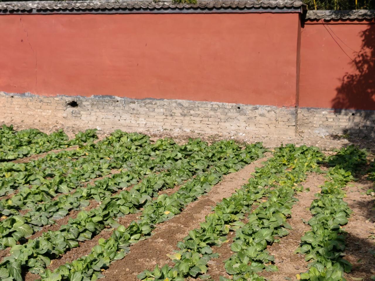 都说明朝实际亡于万历，却不知道万历心里也苦啊！
皇长子朱常洛是王宫女生的，王宫女