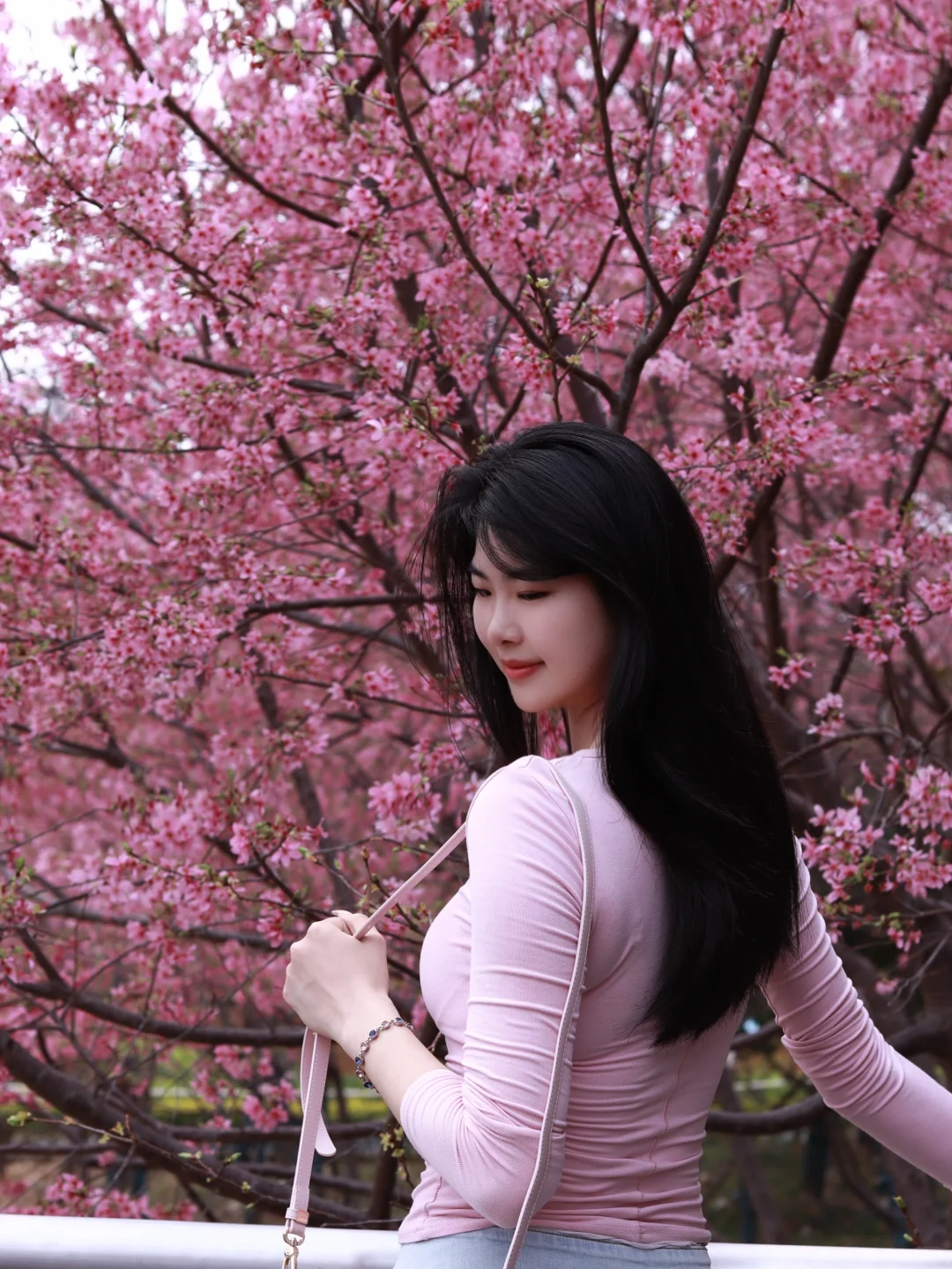 樱花树下谁站都美