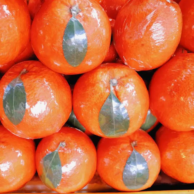 饭后30分钟 - 1小时

部分观点认为饭后30分钟至1小时吃水果较为合适。饭后