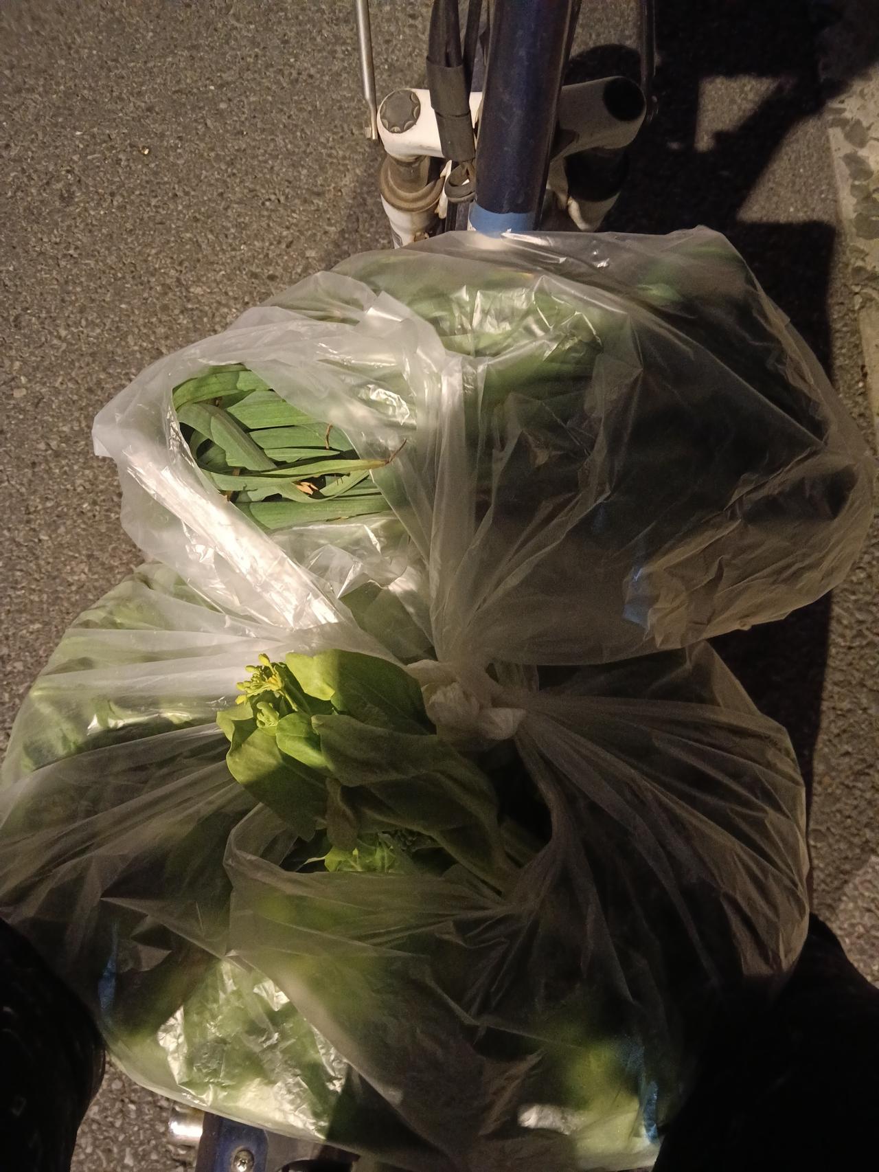 在东水关遇到一个卖菜主播正在直播卖菜，菜苔6斤+蒜苗4斤组合只需20元，我看菜的