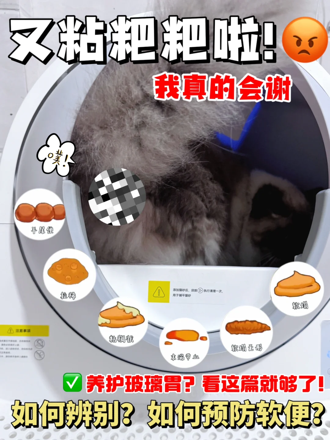 猫咪玻璃胃⁉️健康零食该怎么选